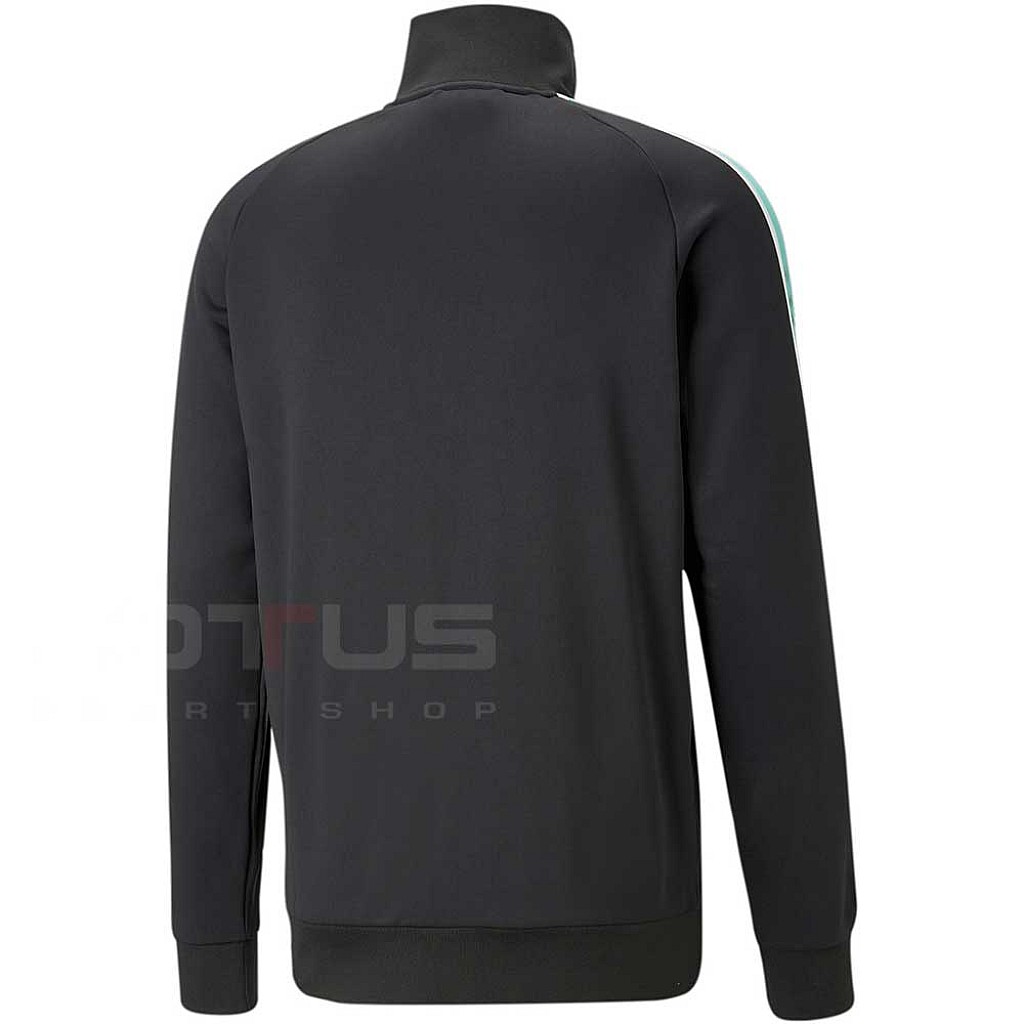 53962851-mazhko-gornishte-puma