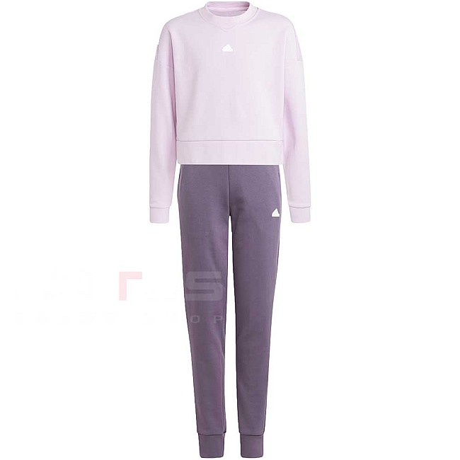 ДЕТСКИ СПОРТЕН ЕКИП ЗА МОМИЧЕ ADIDAS FI LOGO TS PINK/LILAC