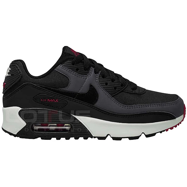 МАРАТОНКИ NIKE AIR MAX 90 LTR ANTHRACITE