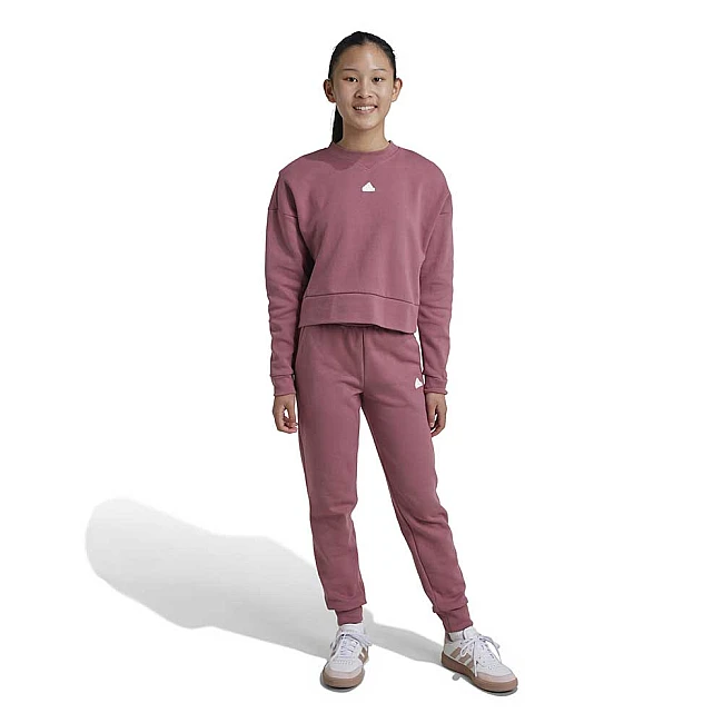 ДЕТСКИ СПОРТЕН ЕКИП ЗА МОМИЧЕ ADIDAS IX3635 G FI LOGO TS РОЗОВ