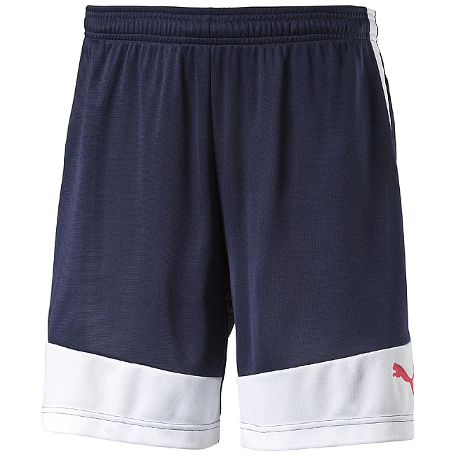 КЪСИ ПАНТАЛОНИ PUMA IT EVOTRG SHORTS