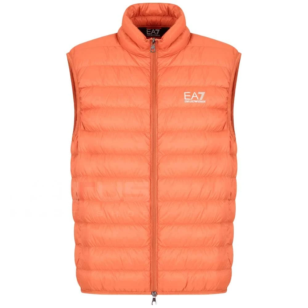 МЪЖКИ ЕЛЕК EA7 EMPORIO ARMANI 8NPQ06-U3010 CORE ID M DOWN LIGHT VEST CC ОРАНЖЕВ - lotus-sport.bg
